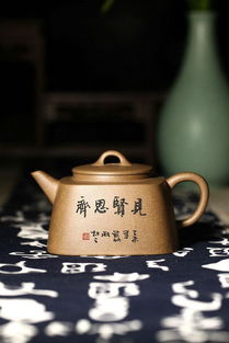 遵化市茶宠(茶宠怎么养)(茶宠用什么茶养)