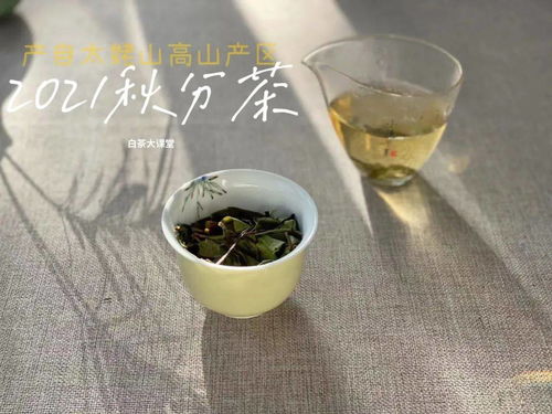 纠结散茶 饼茶不知道怎么选 这份买白茶攻略请收好